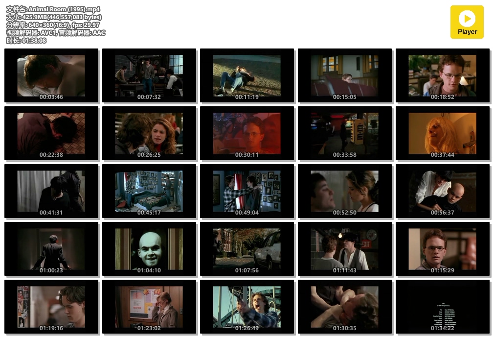 Animal Room剧照的剧照