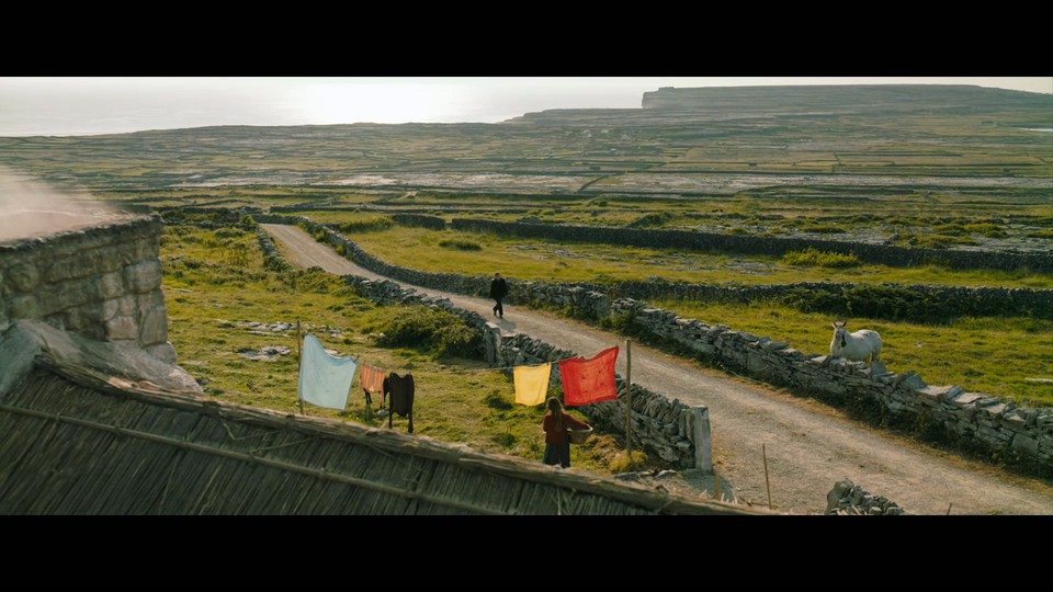 伊尼舍林的报丧女妖剧照的剧照