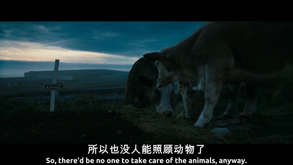 伊尼舍林的报丧女妖剧照的剧照