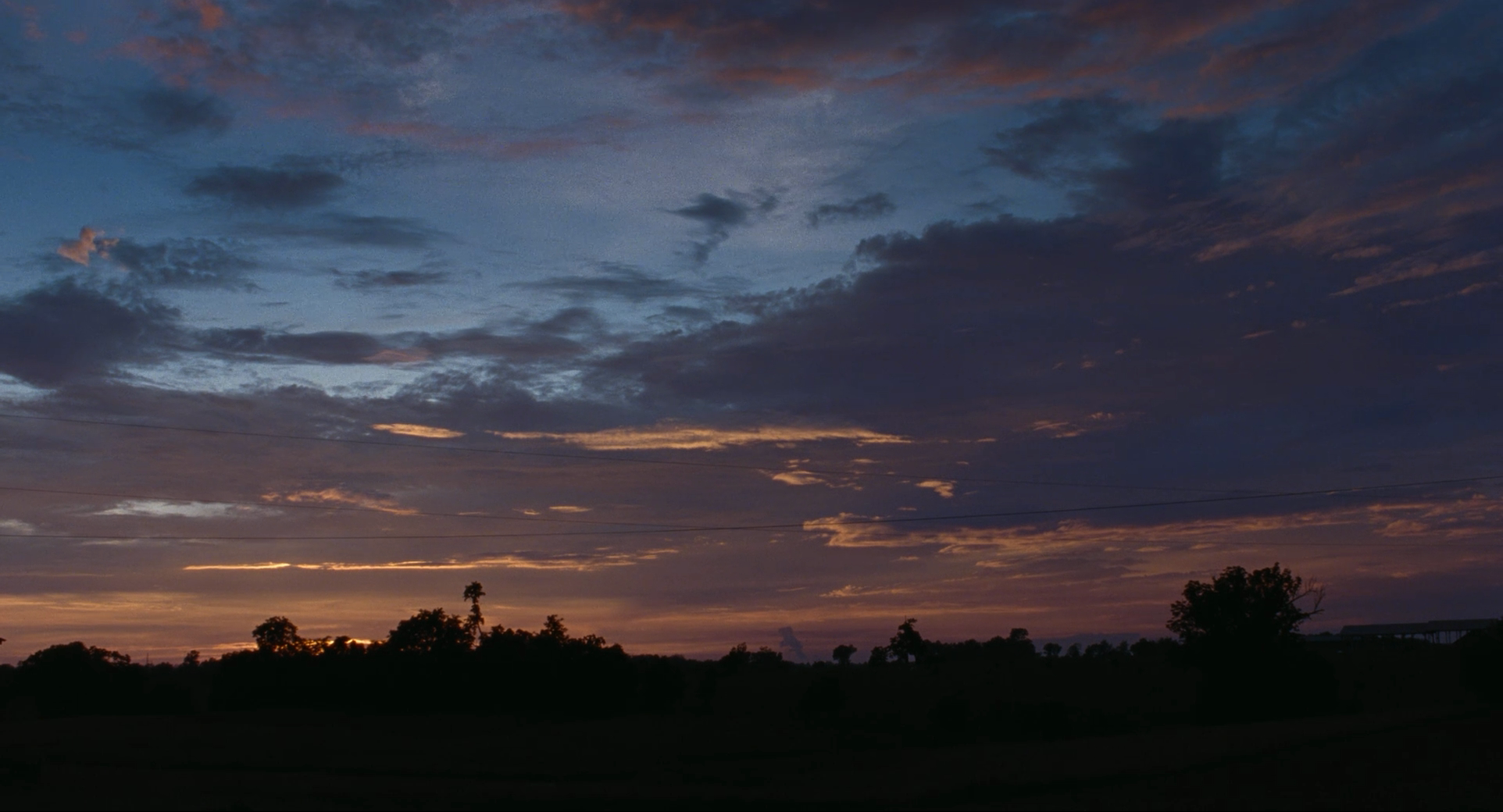 骨及所有剧照的剧照
