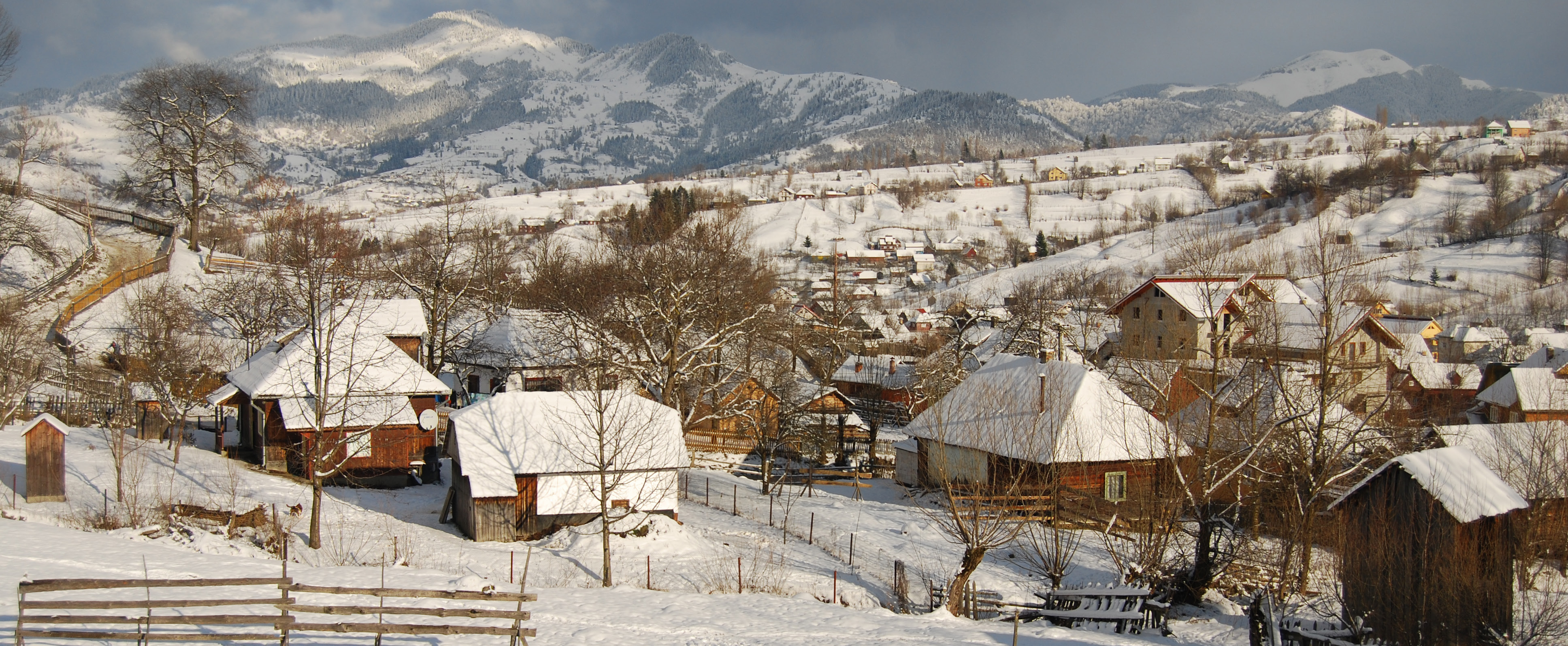 核磁共振剧照的剧照