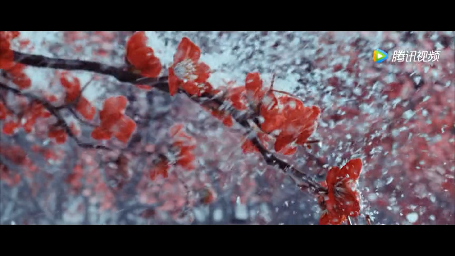 奇门暗刃剧照的剧照