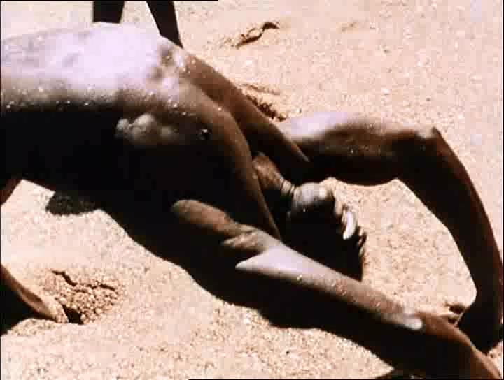 我是一个黑人剧照的剧照