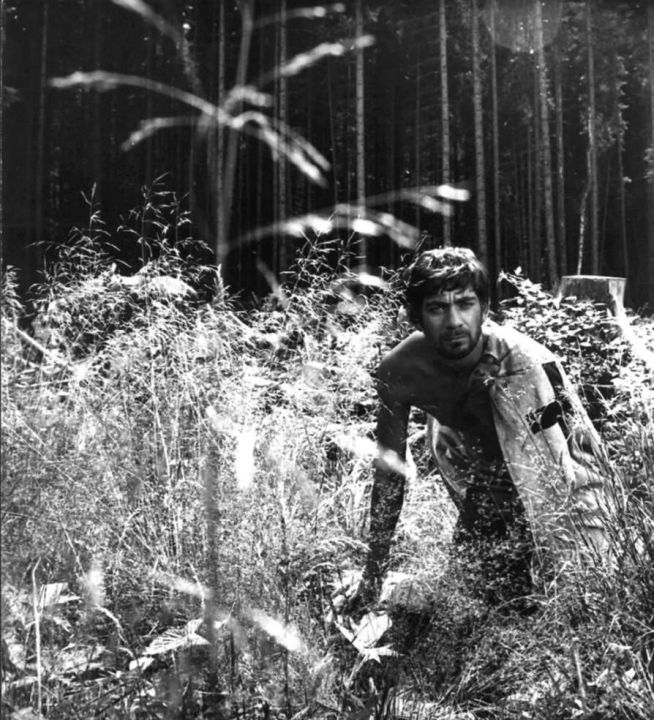 蜂之山谷剧照的剧照