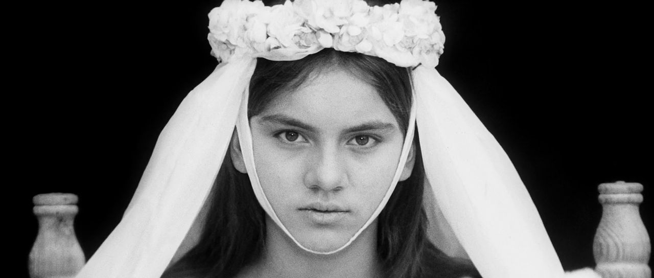 蜂之山谷剧照的剧照