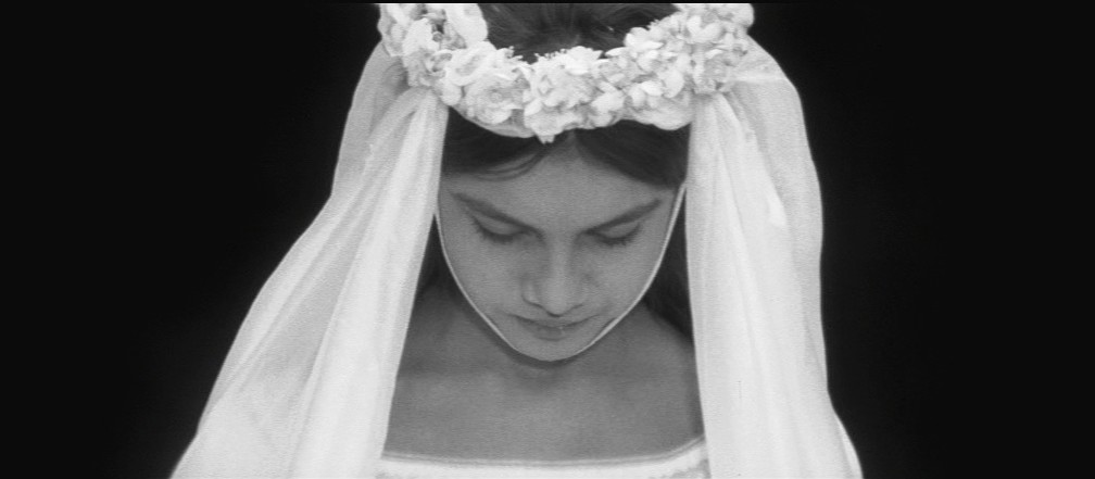 蜂之山谷剧照的剧照