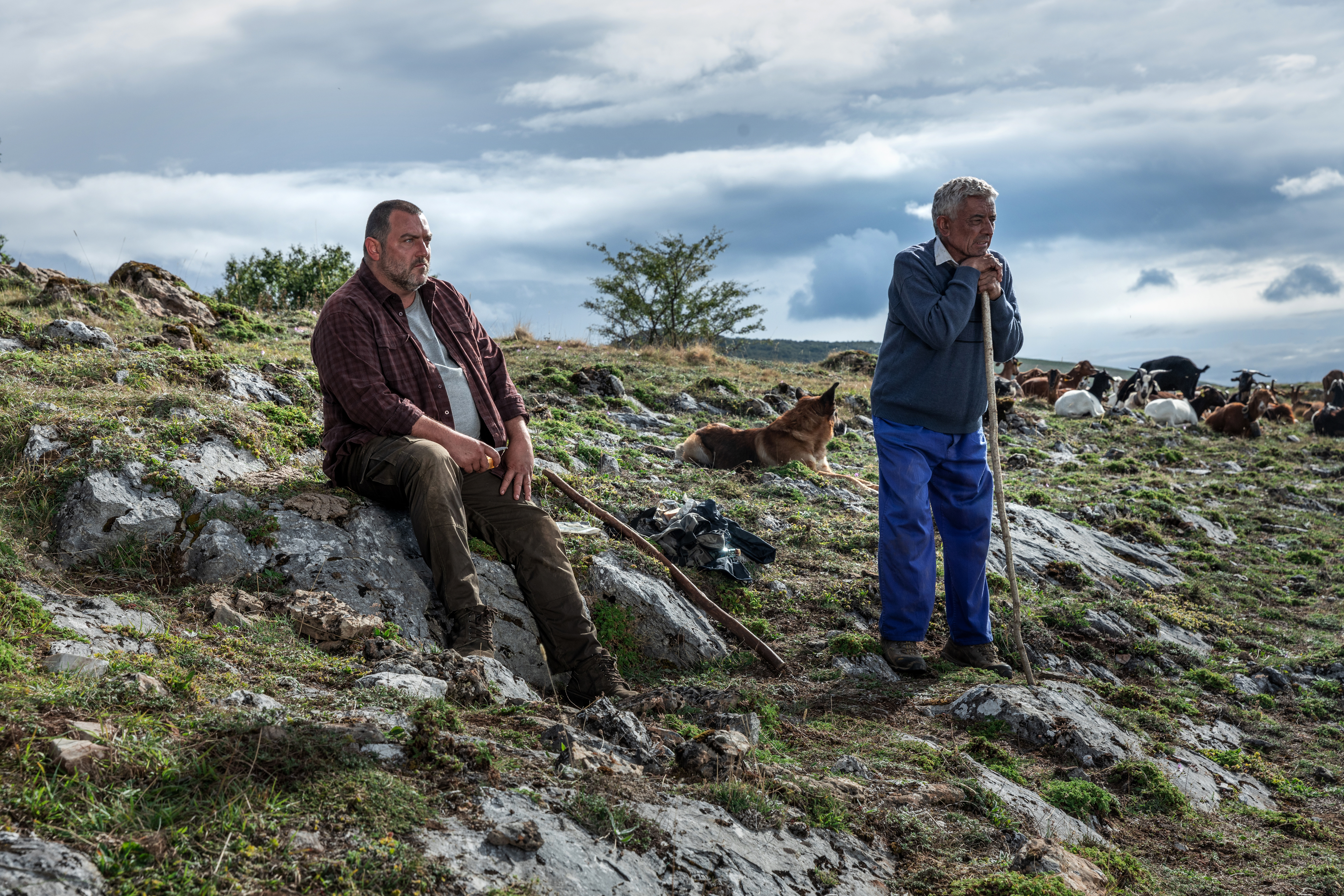 那些野兽剧照的剧照