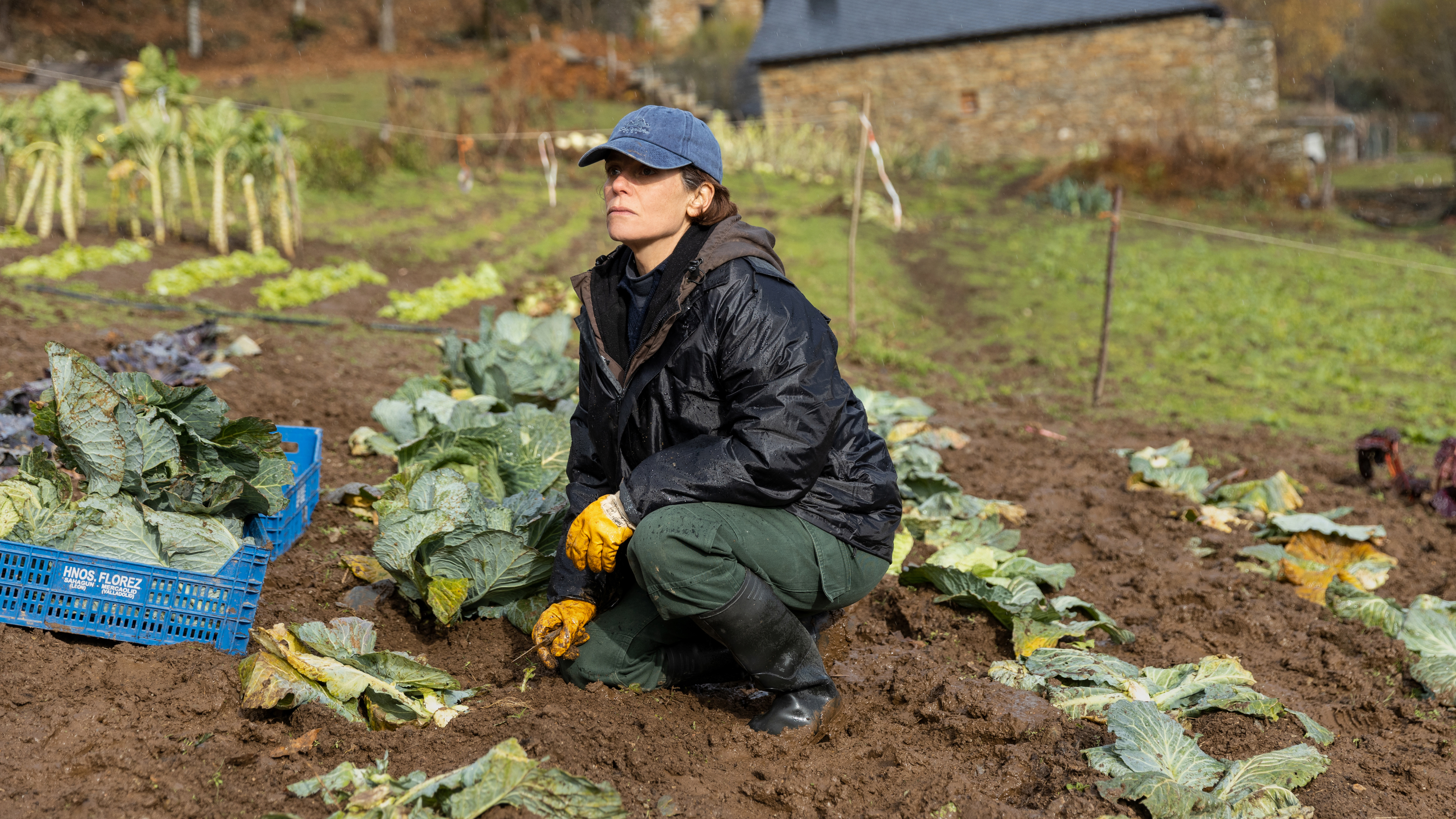 那些野兽剧照的剧照