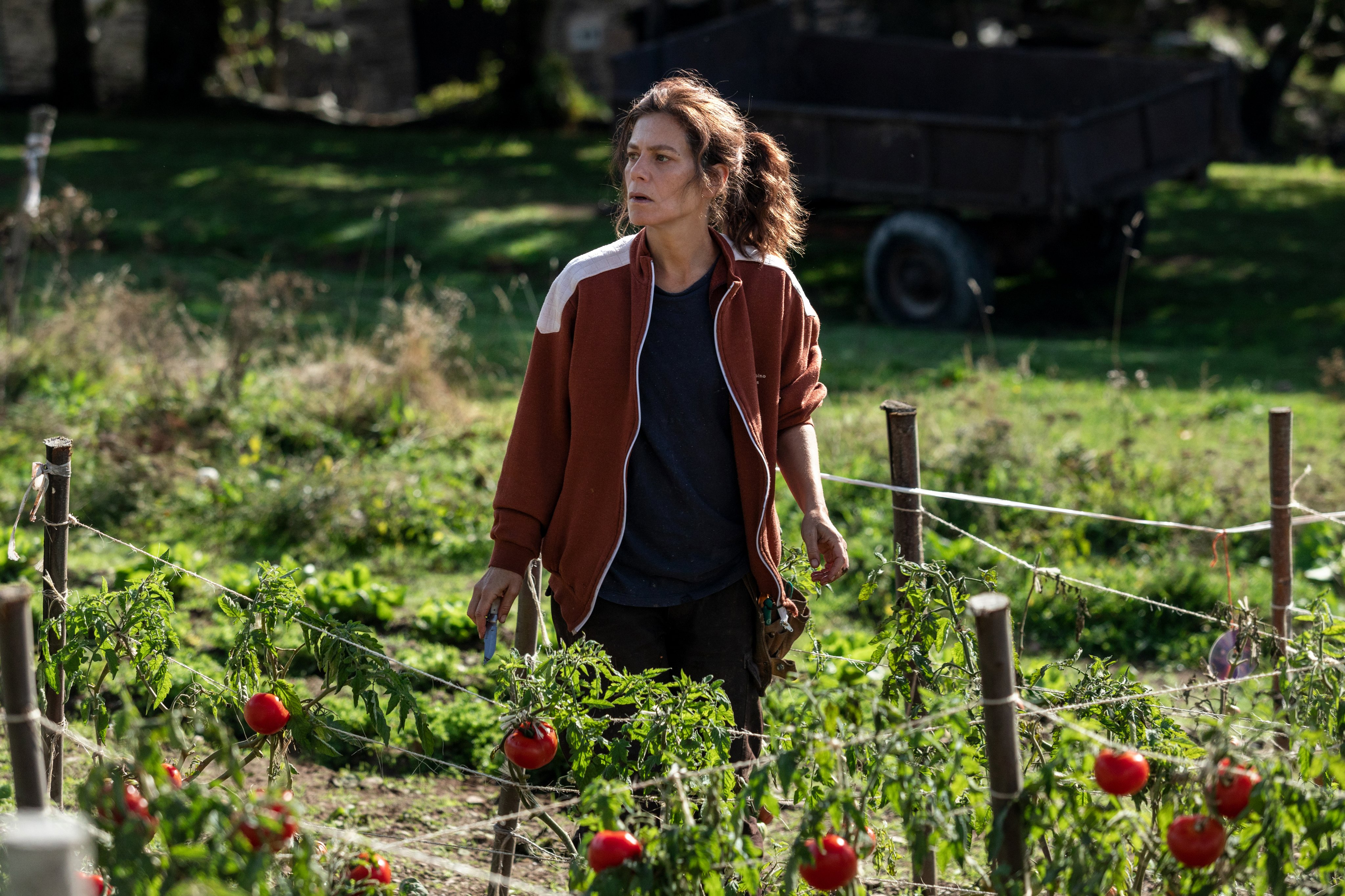 那些野兽剧照的剧照