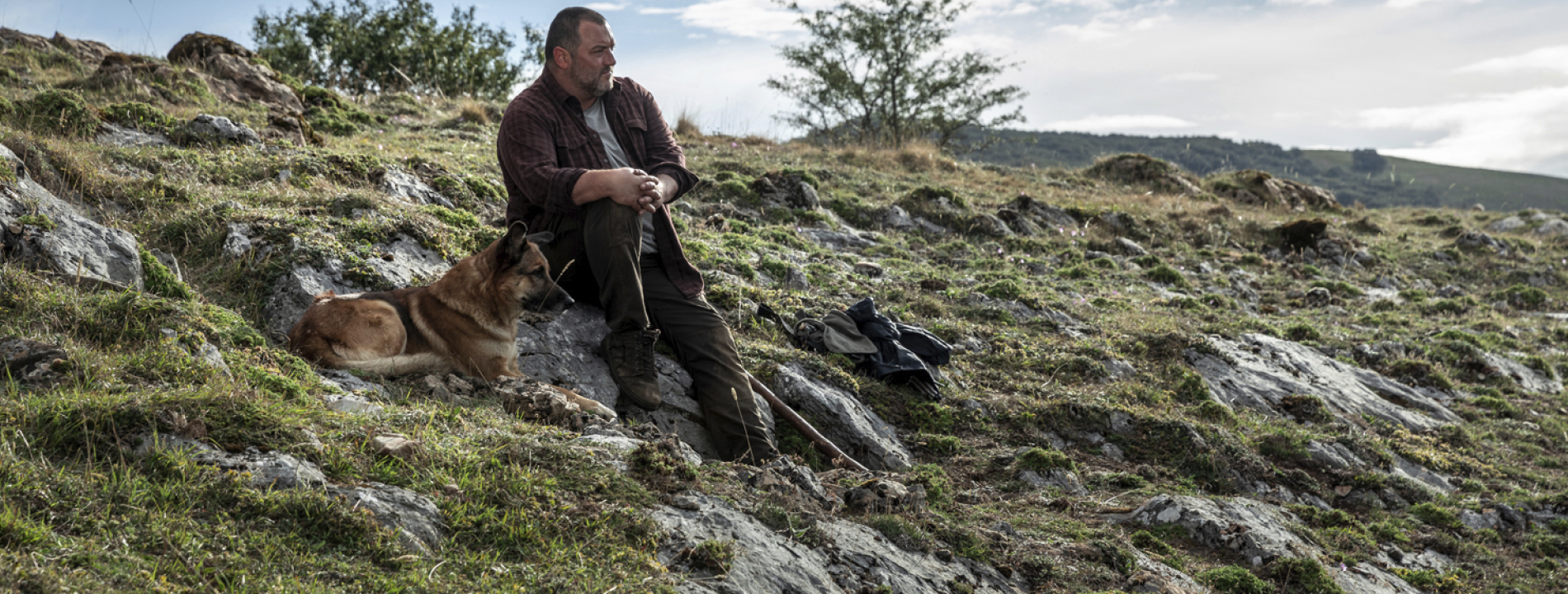 那些野兽剧照的剧照