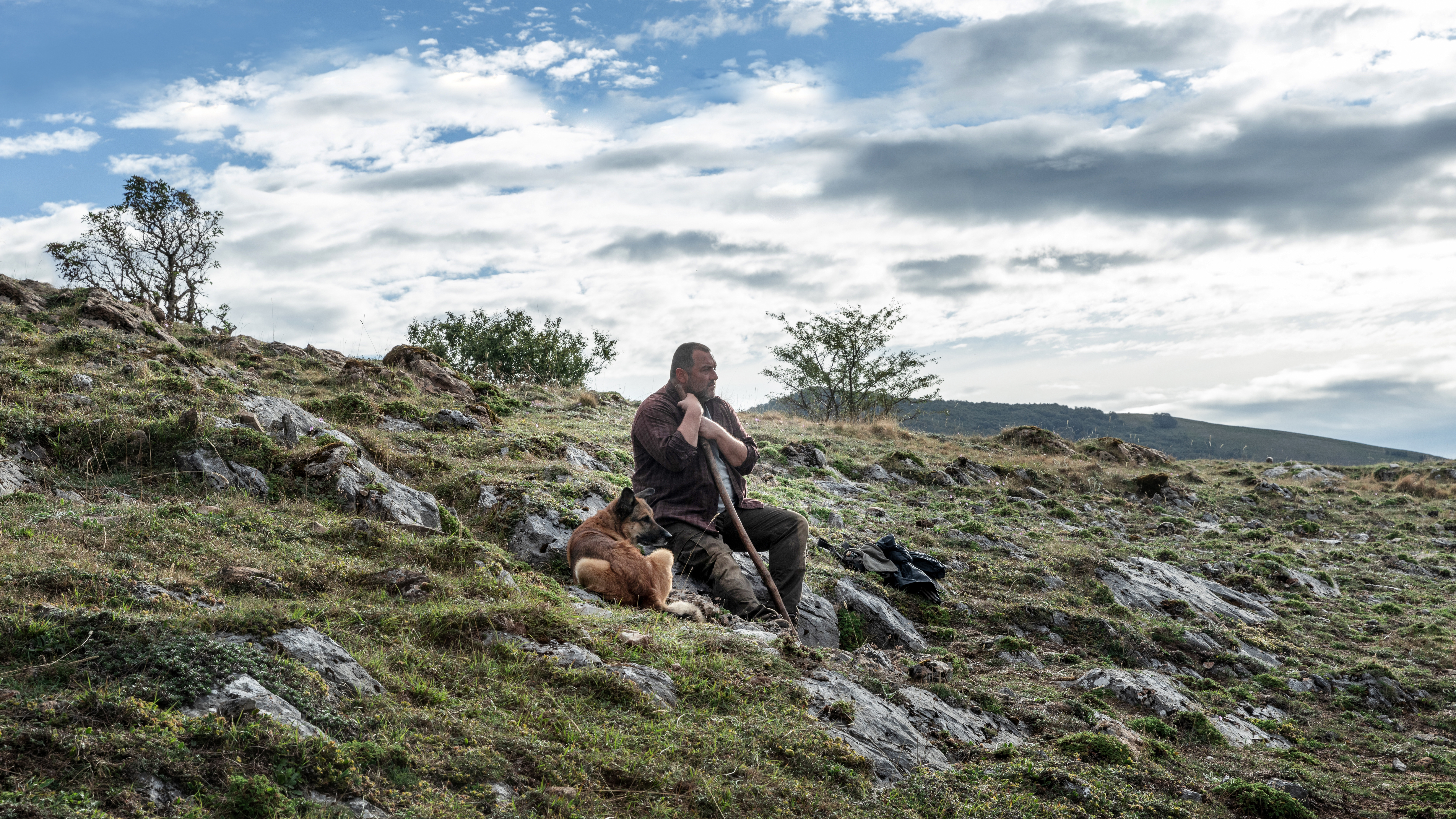 那些野兽剧照的剧照