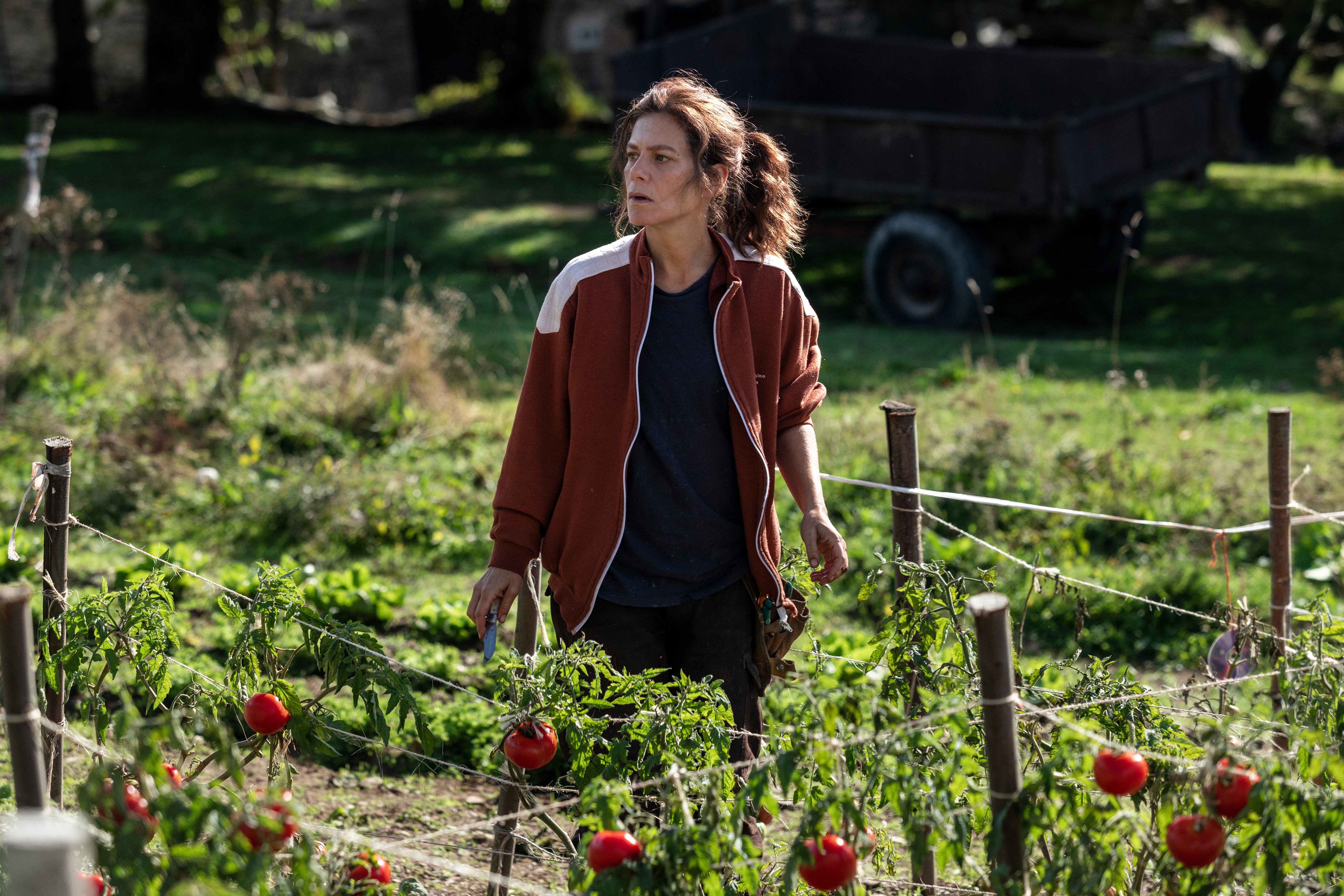 那些野兽剧照的剧照