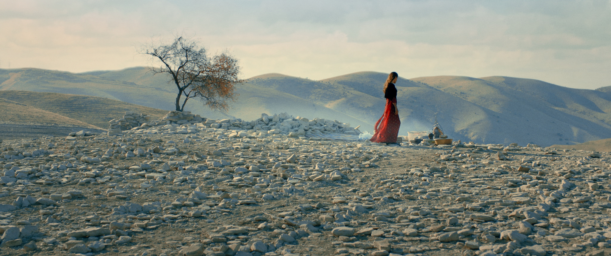 入学考试剧照的剧照