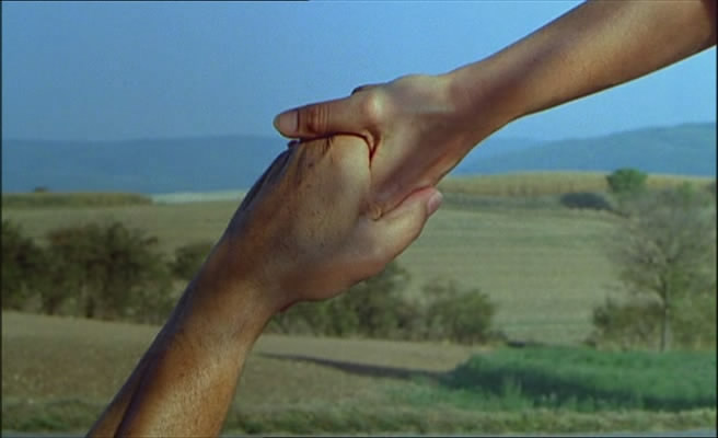 新浪潮剧照的剧照