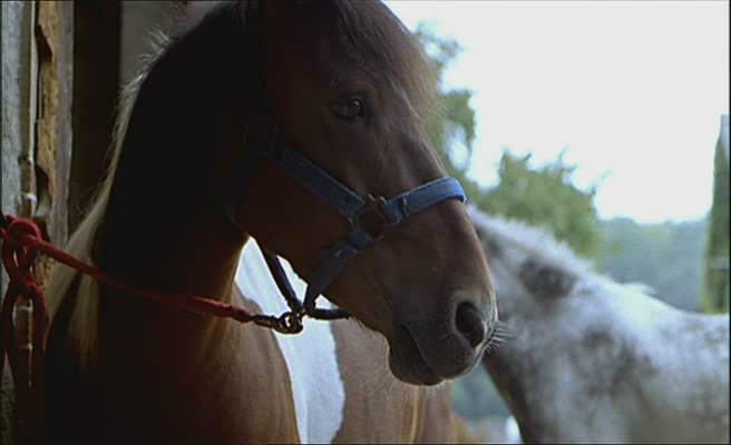 新浪潮剧照的剧照