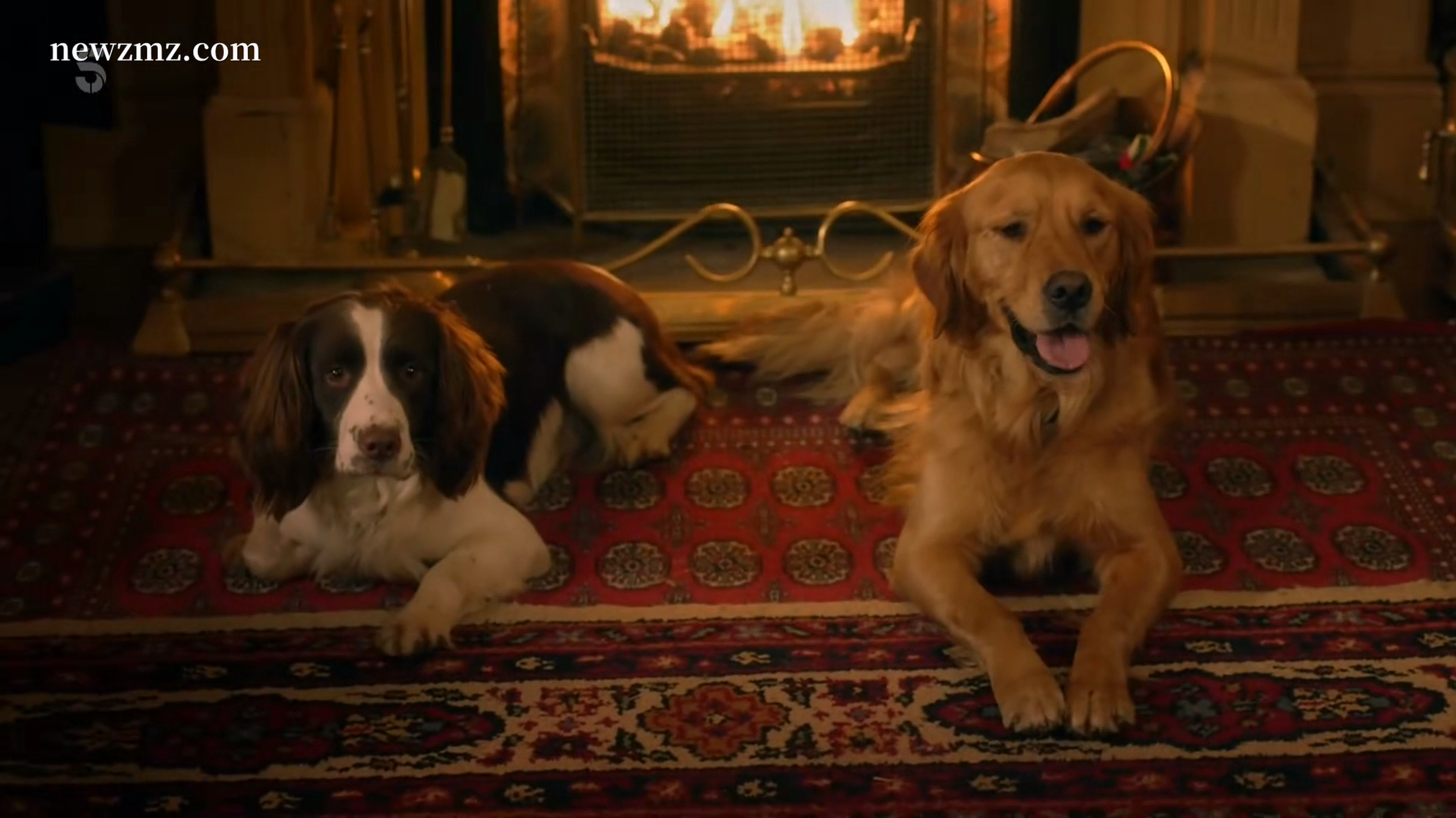 万物生灵：2022圣诞特别集剧照的剧照