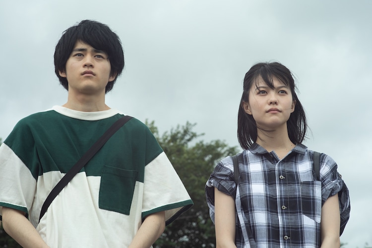 朦胧的山荷叶剧照的剧照