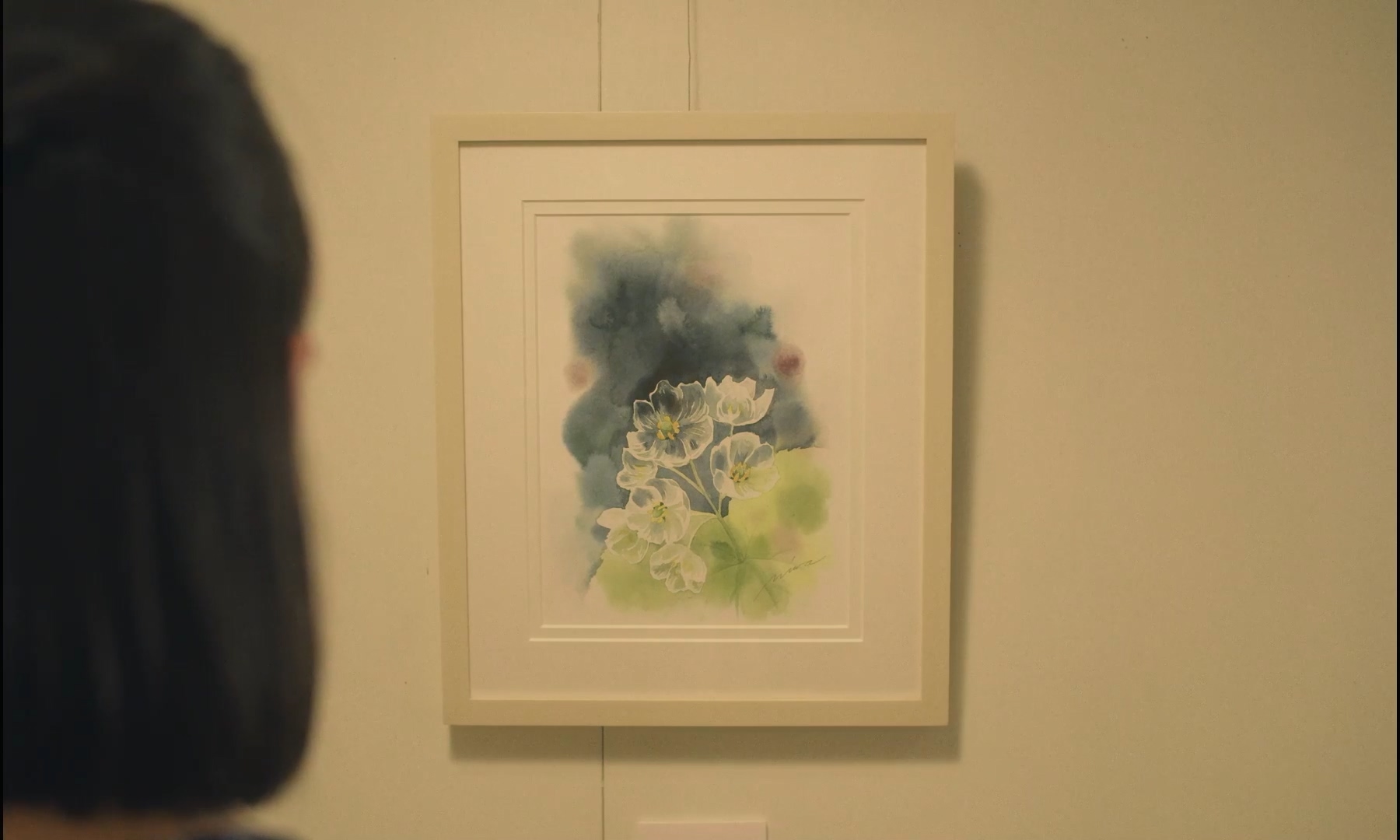 朦胧的山荷叶剧照的剧照