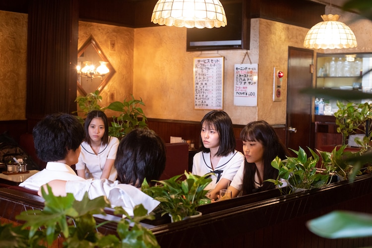 朦胧的山荷叶剧照的剧照