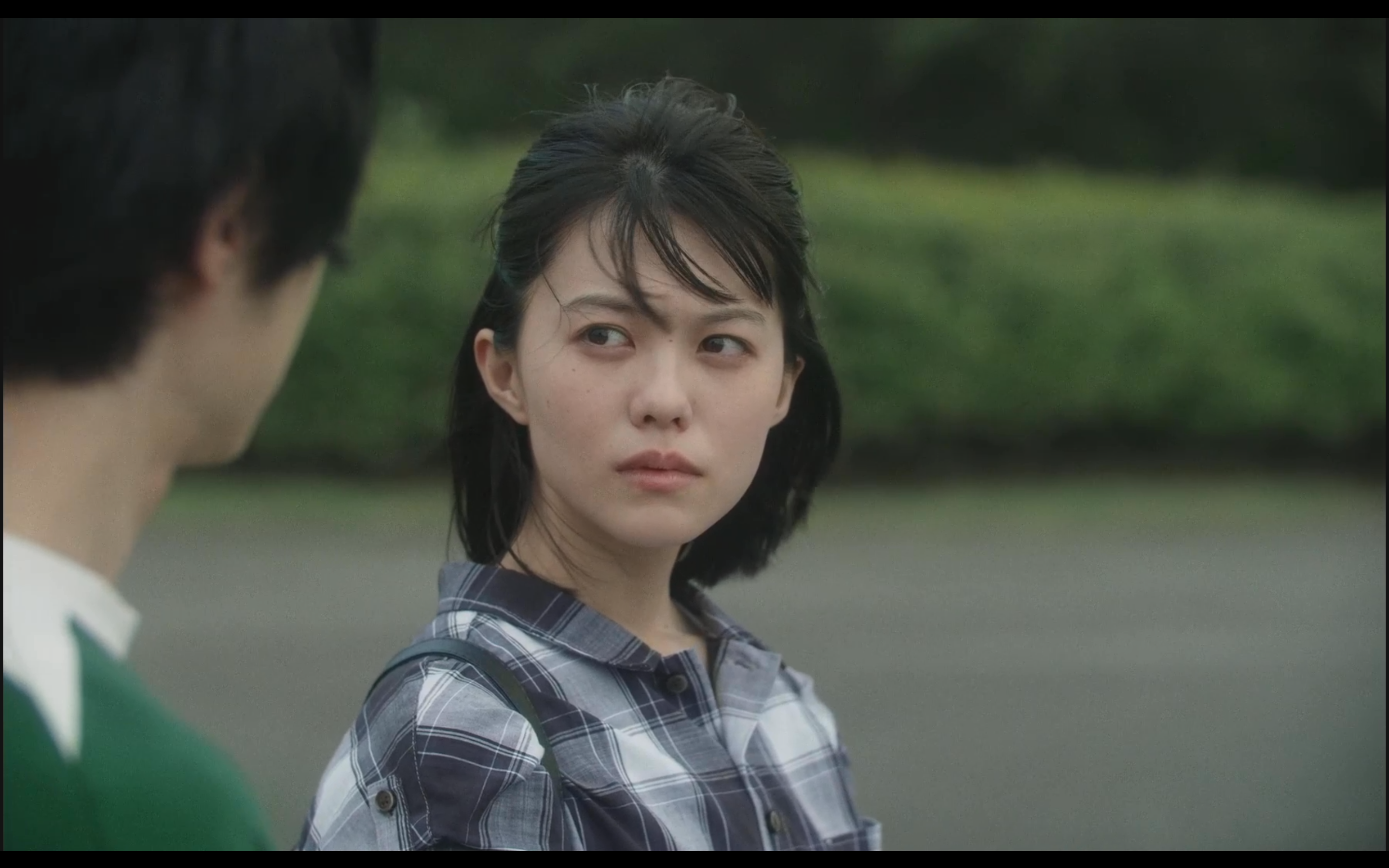 朦胧的山荷叶剧照的剧照