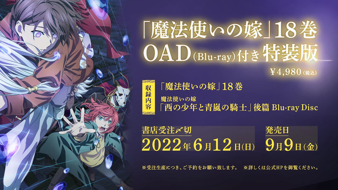 魔法使的新娘 西之少年与青岚的骑士剧照的剧照