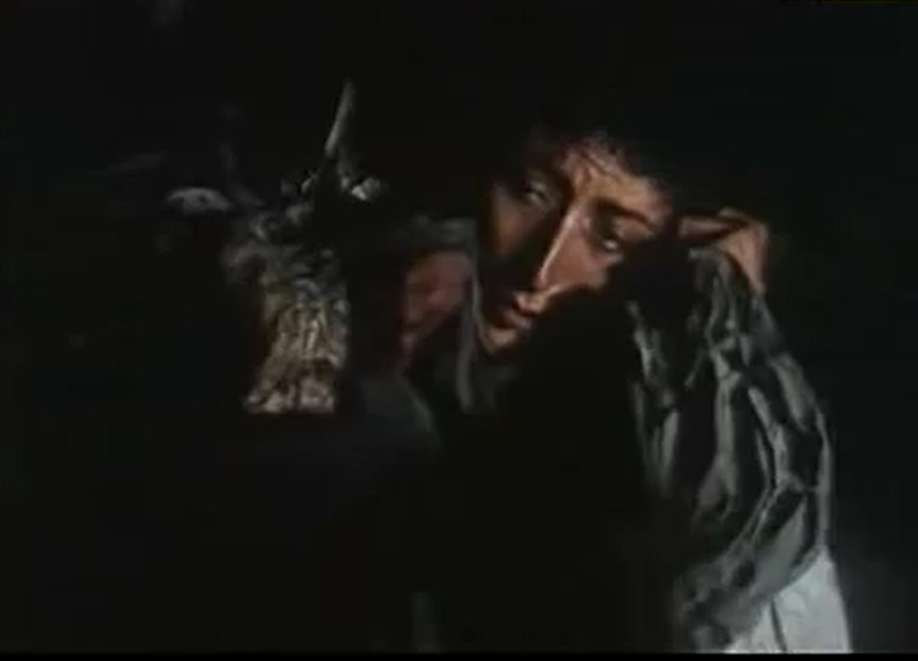 在陆地与海洋间旋转月球剧照的剧照