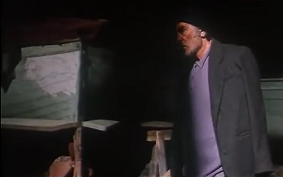 在陆地与海洋间旋转月球剧照的剧照