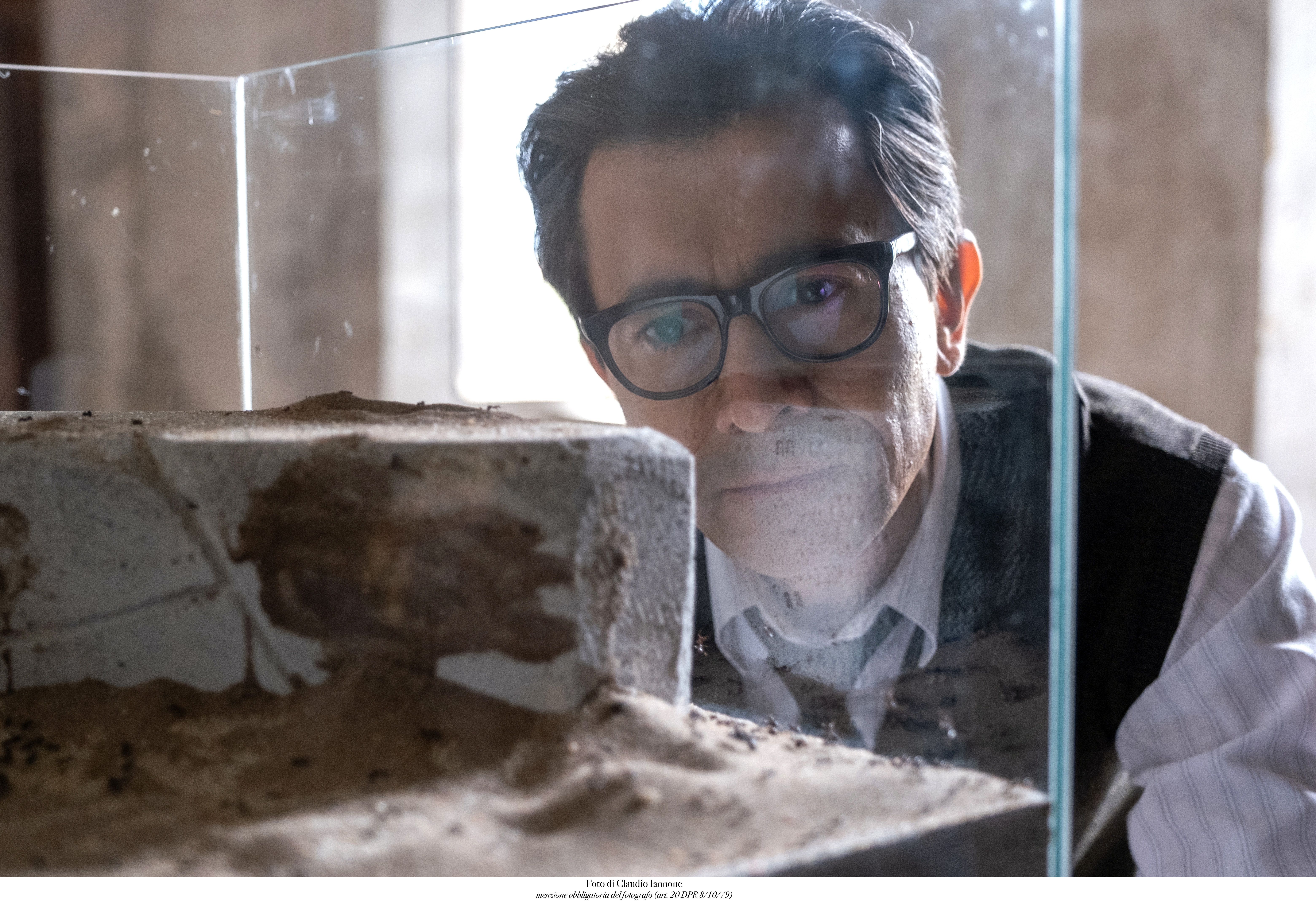 蚁王剧照的剧照