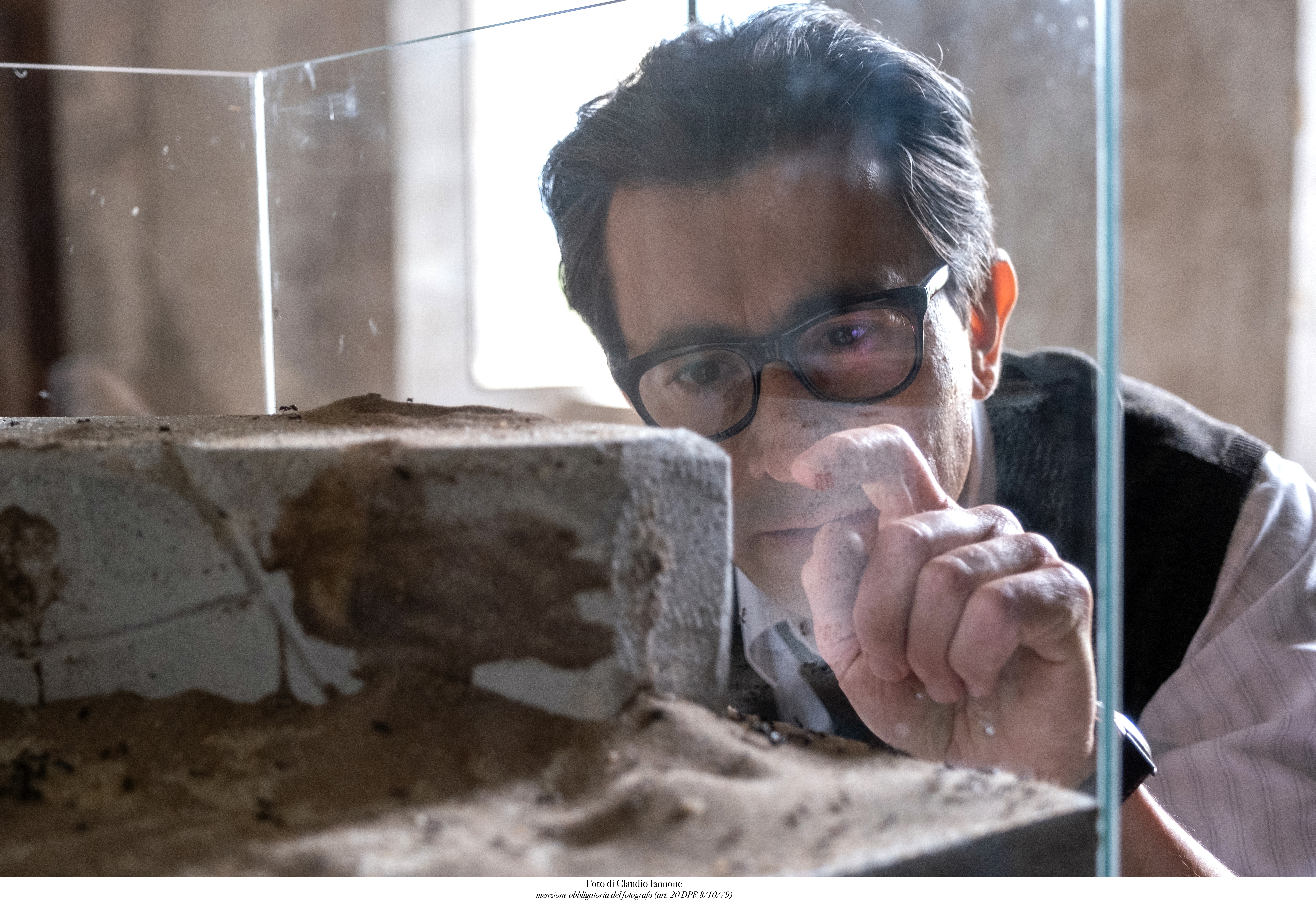 蚁王剧照的剧照