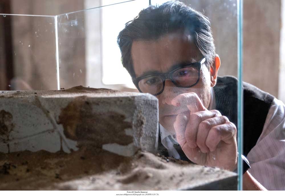 蚁王剧照的剧照