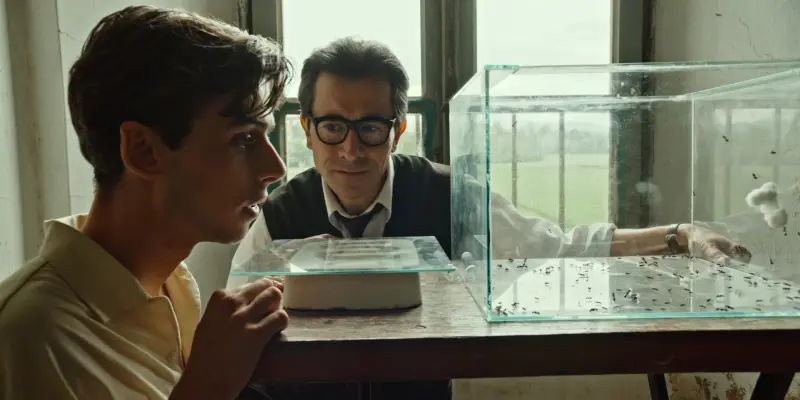 蚁王剧照的剧照