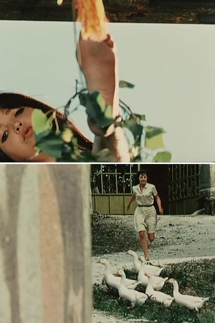 植物园的狂欢剧照的剧照