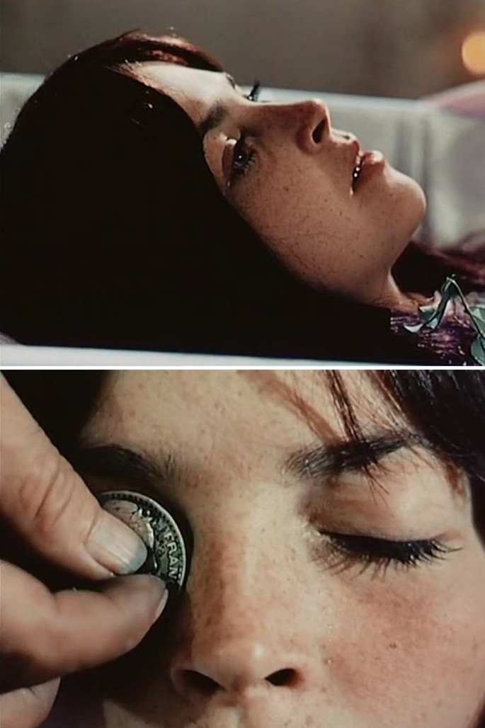 植物园的狂欢剧照的剧照