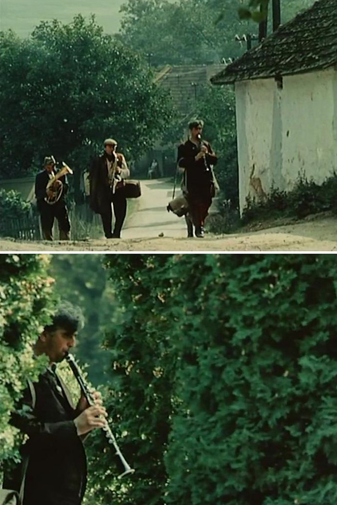 植物园的狂欢剧照的剧照