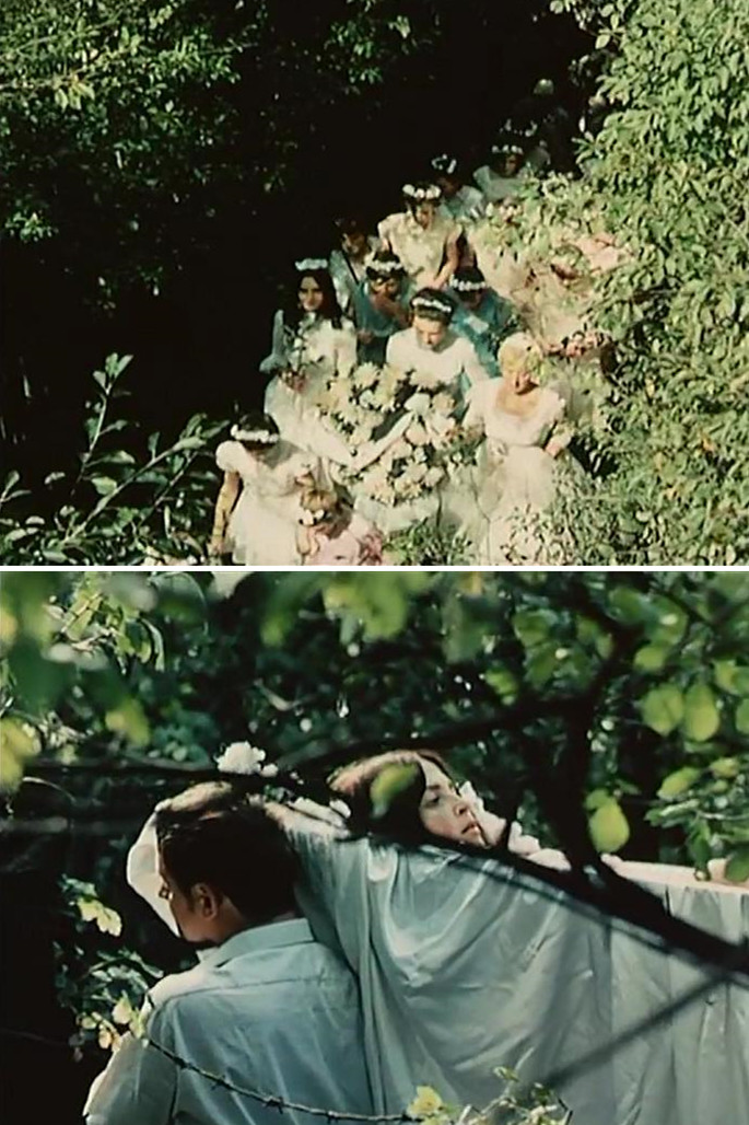 植物园的狂欢剧照的剧照