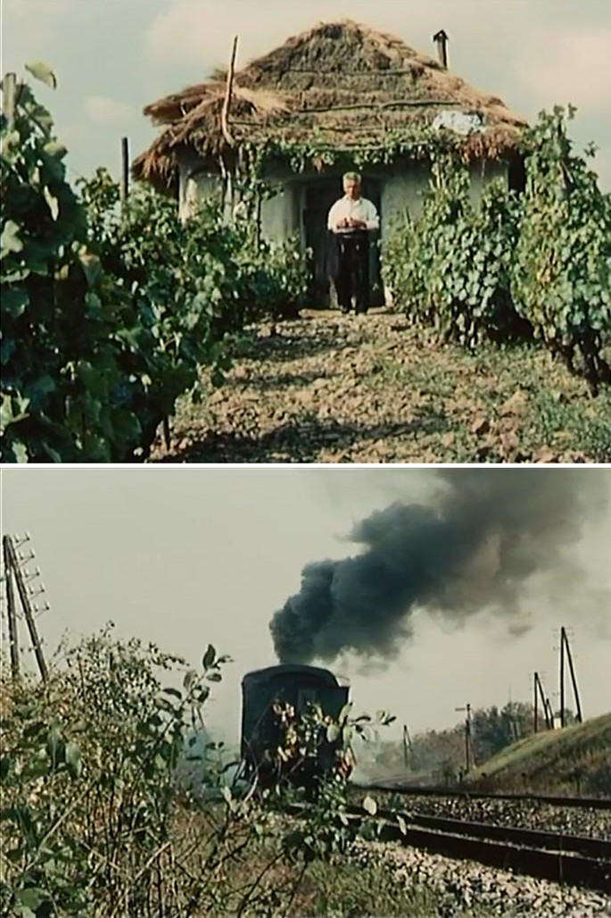 植物园的狂欢剧照的剧照