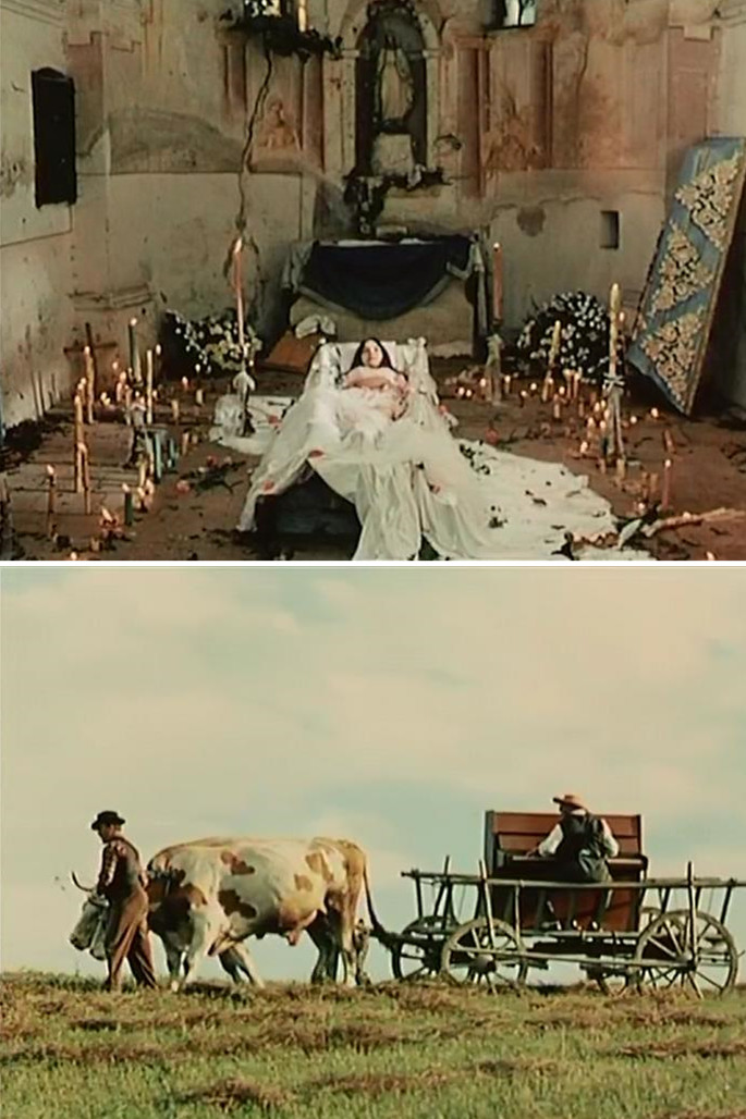 植物园的狂欢剧照的剧照