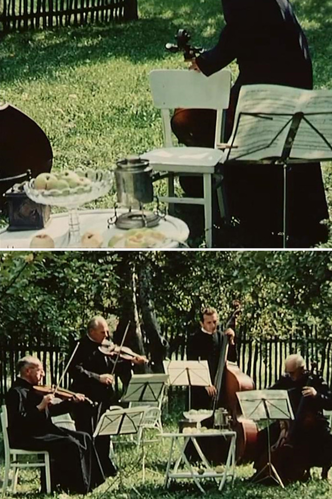 植物园的狂欢剧照的剧照