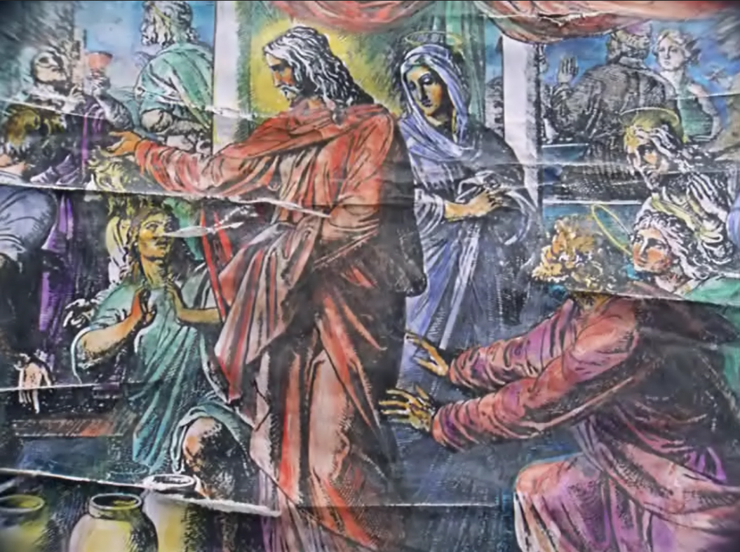 植物园的狂欢剧照的剧照