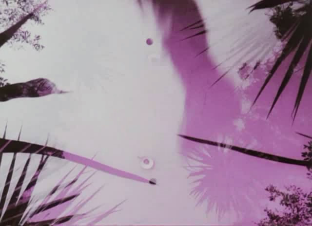 植物园的狂欢剧照的剧照