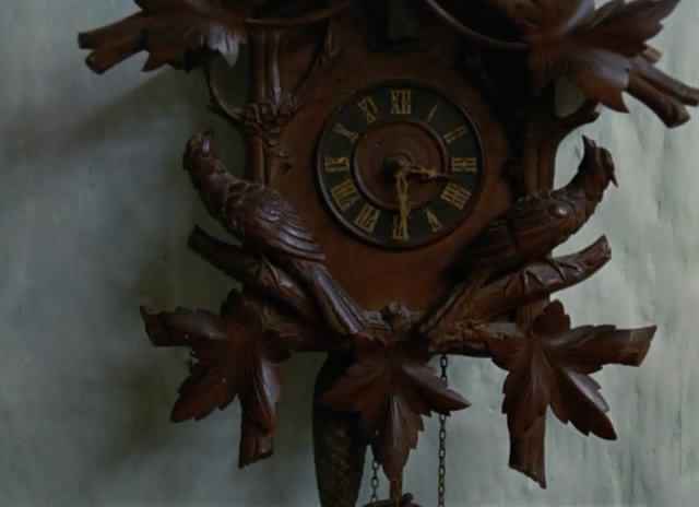 植物园的狂欢剧照的剧照