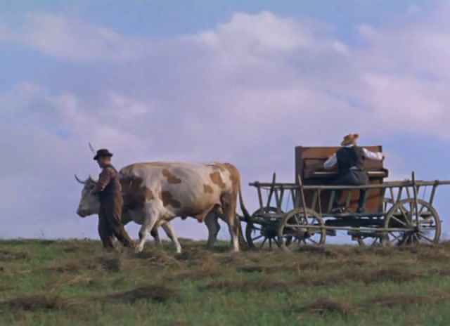 植物园的狂欢剧照的剧照