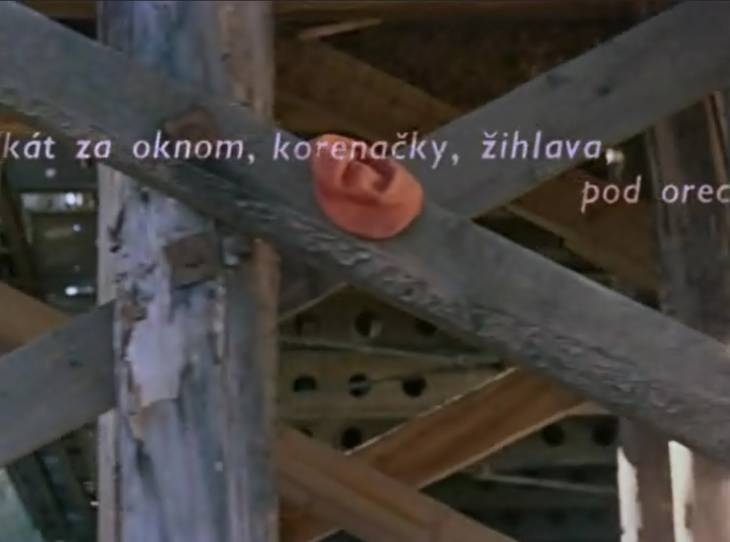 植物园的狂欢剧照的剧照