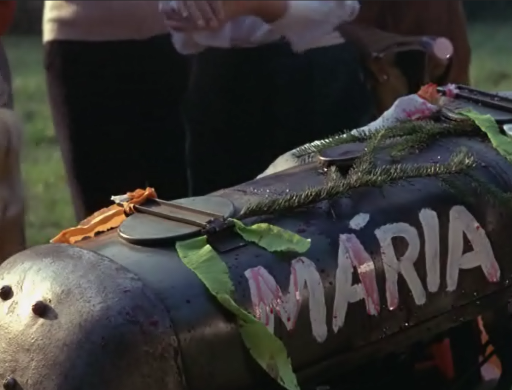 植物园的狂欢剧照的剧照