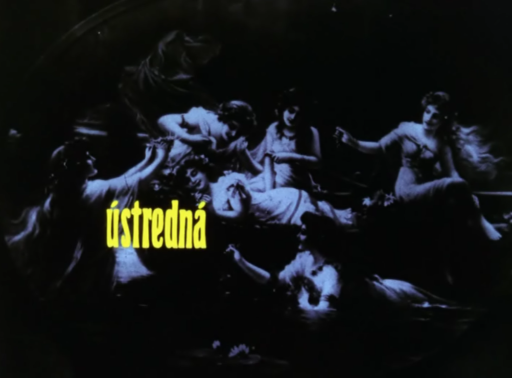 植物园的狂欢剧照的剧照