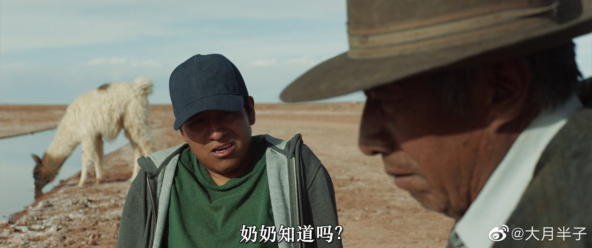 我们的家园剧照的剧照