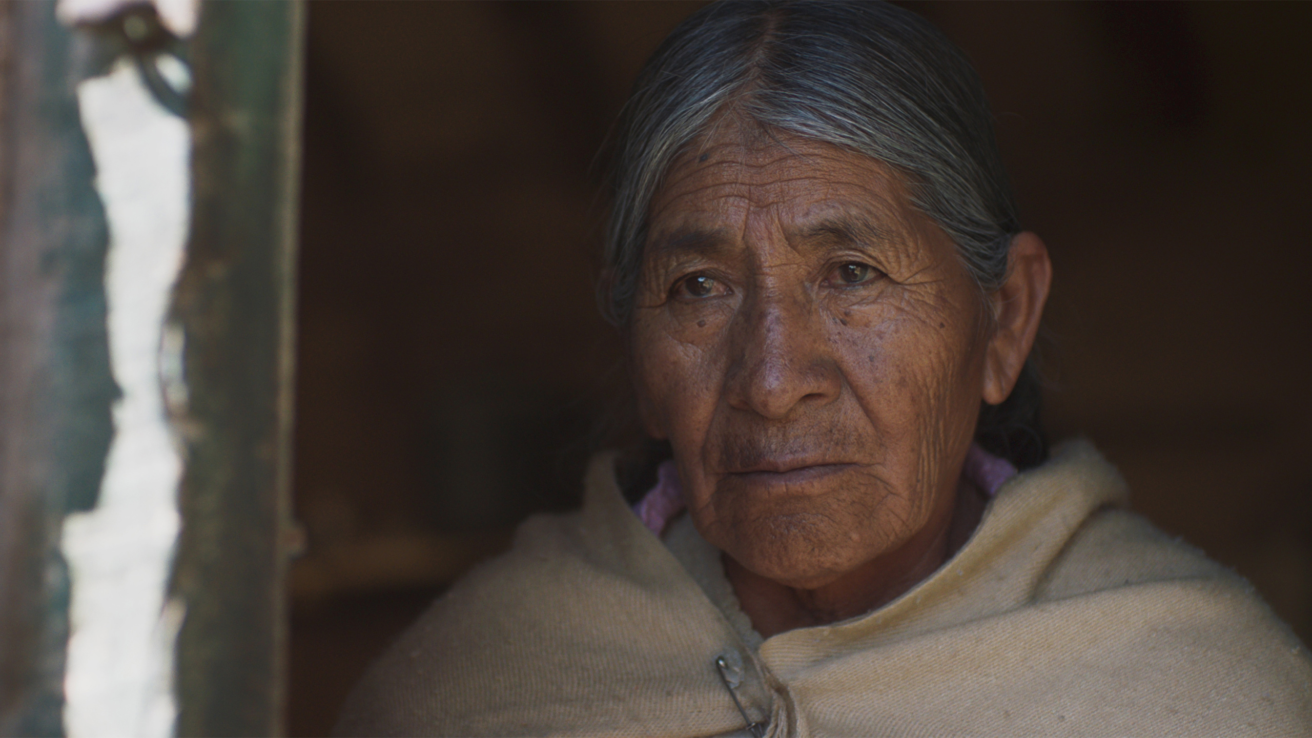 我们的家园剧照的剧照