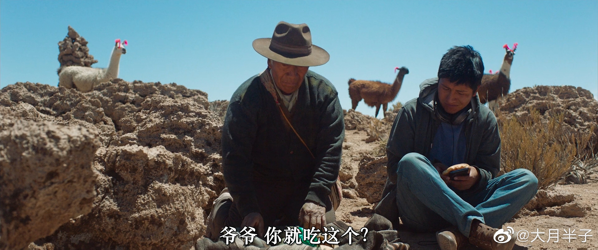 我们的家园剧照的剧照