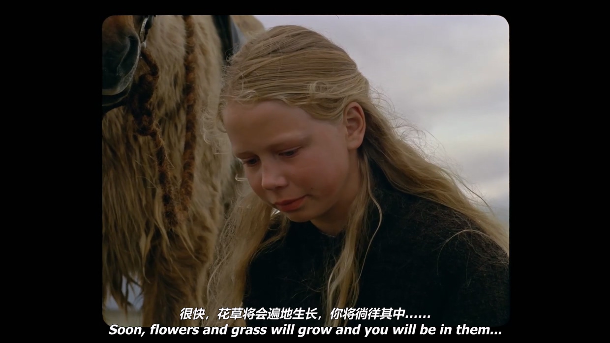 创造之地剧照的剧照