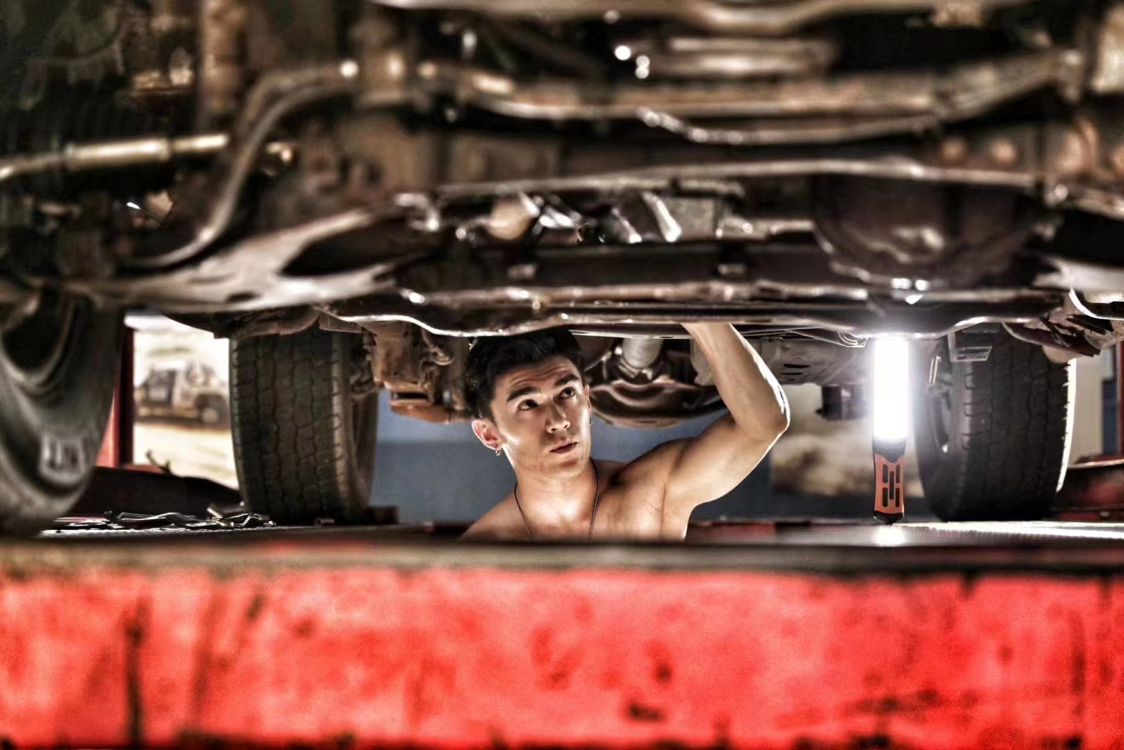 梭梭草剧照的剧照